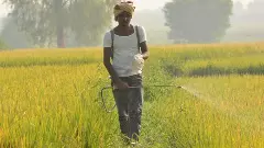 ಕಳೆನಾಶಕ ಗ್ಲೈಫೋಸೇಟ್ ಬಳಕೆಗೆ ನಿರ್ಬಂಧ ಅಗತ್ಯ