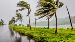 ಚಂಡಮಾರುತದಿಂದ ಹಾನಿ ಕಡಿಮೆ ಮಾಡುವ ನಾಲ್ಕು ಮಾರ್ಗ