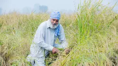 ಫೆಡರಲ್ ಸಮೀಕ್ಷೆ | ಬಿಜೆಪಿಗೆ ಒಲಿದ ದೆಹಲಿ, ಹರಿಯಾಣದ ಮತದಾರ, ಪಂಜಾಬ್ ನಲ್ಲಿ ಆಮ್‌ ಆದ್ಮಿ ಪಕ್ಷಕ್ಕೆ ಮುನ್ನಡೆ