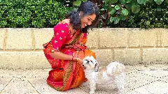 ಆಂಧ್ರಪ್ರದೇಶ: ವೈದ್ಯೆ ಕಮರಿಗೆ ಬಿದ್ದು ಸಾವು