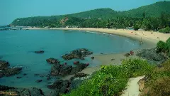 ಅನ್ಯ ಭಾಷೆಯ ನಾಮಫಲಕ ತೆರವಿಗೆ ತುಳು ಭಾಷಿಕರ ವಿರೋಧ