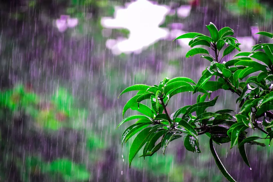 Rain Prediction | ಇಂದಿನಿಂದ ಮೂರು ದಿನ ರಾಜ್ಯದಲ್ಲಿ ಮಳೆ !