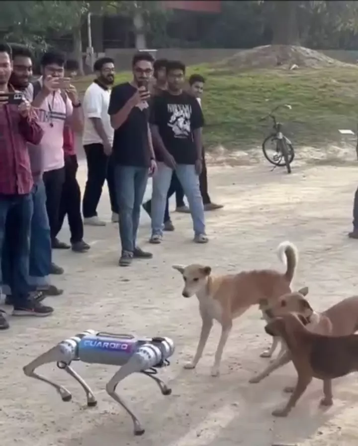 ರೋಬೋಟ್ ನಾಯಿ ಕಂಡು ಬೆದರಿದ ಬೀದಿನಾಯಿಗಳು!