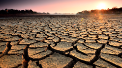 ಕೇಂದ್ರದಿಂದ ಬರದ  ಪರಿಹಾರ: ಚುನಾವಣಾ ಅಸ್ತ್ರವಾಗಿಸಿಕೊಂಡ ಕಾಂಗ್ರೆಸ್