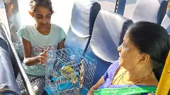 ಅಜ್ಜಿ-ಮೊಮ್ಮಗಳಿಗೆ ಫ್ರೀ ಟಿಕೆಟ್‌, ನಾಲ್ಕು ಲವ್ ಬರ್ಡ್ಸ್​​ಗೆ 444 ರೂ.!