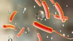 ಕಾಲರಾ ಭೀತಿ | ಮುನ್ನೆಚ್ಚರಿಕೆ ಸುತ್ತೋಲೆ ಹೊರಡಿಸಿದ ಆರೋಗ್ಯ ಇಲಾಖೆ