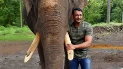 ಅಂಬಾರಿ ಆನೆ ಅರ್ಜುನನ ಸಮಾಧಿ ಅನಾಥ: ನಟ ದರ್ಶನ್ ಬೇಸರ