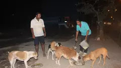 ಬೀದಿನಾಯಿಗಳಿಗೆ ತಿಂಡಿ ನೀಡಲು ಸಮಯ ನಿಗದಿ ಮಾಡಿದ ಬಿಬಿಎಂಪಿ