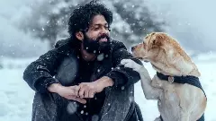 ಆರು ಮರಿಗಳಿಗೆ ಜನ್ಮ ನೀಡಿದ 777 ಚಾರ್ಲಿʼ: ಈಗ ಸಿನಿಮಾ ಕಥೆ ಪೂರ್ಣವಾಯ್ತು ಎಂದ ರಕ್ಷಿತ್‌ ಶೆಟ್ಟಿ