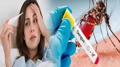 ಡೆಂಗ್ಯೂ ಭೀತಿ | ಬೆಂಗಳೂರು ಸೇರಿದಂತೆ ರಾಜ್ಯಾದ್ಯಂತ 2,877 ಪ್ರಕರಣ ವರದಿ!