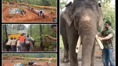 ಅಂಬಾರಿ ಆನೆ ಅರ್ಜುನನ ಸ್ಮಾರಕ‌ ನಿರ್ಮಾಣಕ್ಕೆ ಕಲ್ಲು ಚಪ್ಪಡಿ ರವಾನಿಸಿದ ದರ್ಶನ್‌: ವಿಡಿಯೋ ವೈರಲ್‌