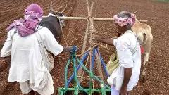 ರೈತರ ʼಮುಂಗಾರು ಖುಷಿʼಗೆ  ಭಂಗ ತಂದ ಬಿತ್ತನೆ ಬೀಜ ಬೆಲೆಯೇರಿಕೆ; ಸರ್ಕಾರ ಸಮರ್ಥನೆ