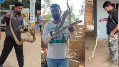 ಹಾವೇ.. ಹಾವೇ.. ಬಾಗಿಲ ಬಿಲದಲಿ ನಿನ್ನಯ ಠಾವೆ? ರಾಜಧಾನಿಯಲ್ಲಿ ಹಾವುಗಳ ಹಾವಳಿ!