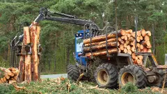 ಸರ್ಕಾರಿ ಯೋಜನೆಗಳಿಗೆ ಒಂದೇ ಬಾರಿ ಮರ ಕಡಿಯಲು ಕ್ರಮ | ಅಕ್ರಮ ಕಡಿತಲೆಗೆ ಮೌಲ್ಯಕ್ಕಿಂತ ಹೆಚ್ಚು ದಂಡ, ಜೈಲು ಶಿಕ್ಷೆ?