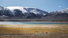 ಲಡಾಖ್‌: ನದಿ ದಾಟುತ್ತಿದ್ದ ಐವರು ಯೋಧರ ಸಾವು