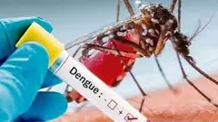 Dengue Outbreak |  ‌ಬೆಂಗಳೂರಿನಲ್ಲಿ ಡೆಂಗ್ಯೂಗೆ ಮತ್ತೊಂದು ಬಲಿ