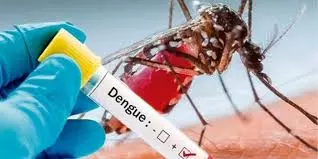 Dengue Outbreak |  ‌ಬೆಂಗಳೂರಿನಲ್ಲಿ ಡೆಂಗ್ಯೂಗೆ ಮತ್ತೊಂದು ಬಲಿ