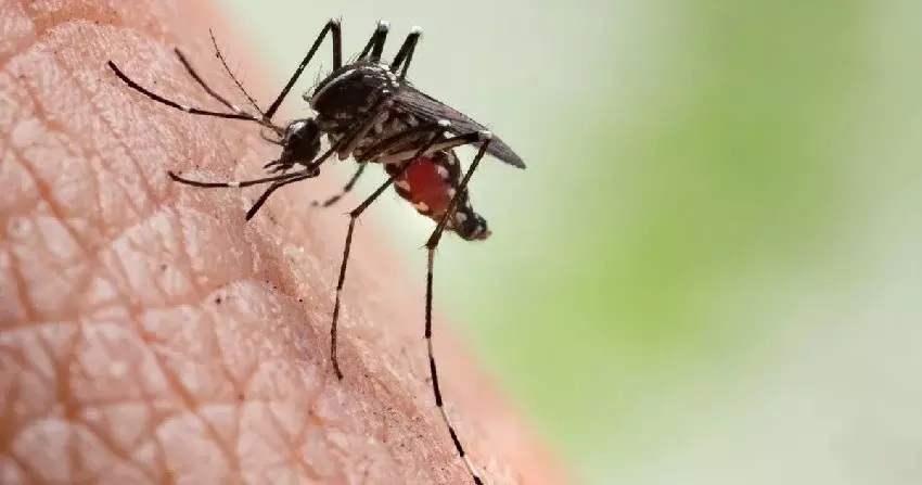 Dengue Outbreak | ಡೆಂಗ್ಯೂ ಪರೀಕ್ಷೆ ದರ ನಿಗದಿ ಮಾಡಿದ ರಾಜ್ಯ ಸರ್ಕಾರ