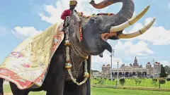 ʼಹುತಾತ್ಮʼಅರ್ಜುನನಿಗೆ ಸ್ಮಾರಕ ನಿರ್ಮಾಣ