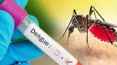 Dengue Fever| ದಕ್ಷಿಣ ಕನ್ನಡದಲ್ಲಿ ಡೆಂಗ್ಯೂ ಏರಿಕೆ: ಸಾರ್ವಜನಿಕರು ಮುಂಜಾಗ್ರತೆ ವಹಿಸಲು ಜಿಲ್ಲಾ ಆರೋಗ್ಯಾಧಿಕಾರಿ ಮನವಿ