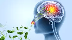 ‘ಮೆದುಳು ತಿನ್ನುವ ಅಮೀಬಾ’ಕ್ಕೆ ಮೂರು ಮಕ್ಕಳು ಬಲಿ: ನೆಗ್ಲೇರಿಯಾ ಫೌಲೆರಿ ಎಂದರೆ ಏನು?