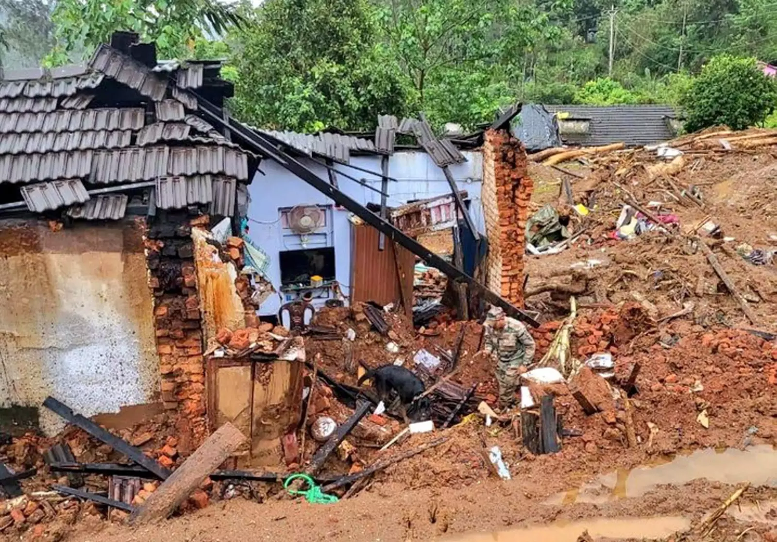 Wayanad Landslide | ಸಾವಿನ ಸಂಖ್ಯೆ 320ಗೆ ಏರಿಕೆ: ಕಾಂಗ್ರೆಸ್ 100 ಮನೆಗಳನ್ನು ನಿರ್ಮಿಸುತ್ತದೆ- ರಾಹುಲ್ ಗಾಂಧಿ