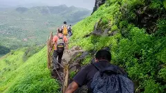 ಬುಕಿಂಗ್‌ ಅಕ್ರಮ | ಚಾರಣಕ್ಕೆ ತಾತ್ಕಾಲಿಕ ನಿರ್ಬಂಧ ಹೇರಿದ ಅರಣ್ಯ ಇಲಾಖೆ