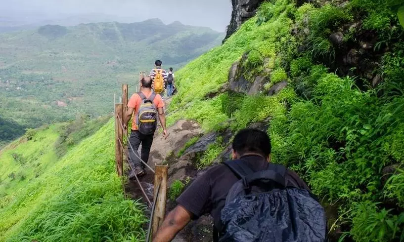 ಬುಕಿಂಗ್‌ ಅಕ್ರಮ | ಚಾರಣಕ್ಕೆ ತಾತ್ಕಾಲಿಕ ನಿರ್ಬಂಧ ಹೇರಿದ ಅರಣ್ಯ ಇಲಾಖೆ