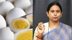 ಅಂಗನವಾಡಿ ಮೊಟ್ಟೆ ಪ್ರಕರಣ | ಸಿಡಿಪಿಒ ಅಮಾನತುಗೊಳಿಸಿ ಸಚಿವೆ ಲಕ್ಷ್ಮೀ ಹೆಬ್ಬಾಳ್ಕರ್ ಆದೇಶ