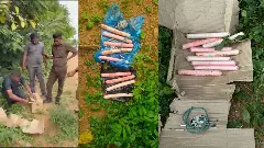 ದಸರಾ ಸಿದ್ಧತೆ ಹೊತ್ತಲ್ಲೇ ನಾಡ ಬಾಂಬ್​ ಸೇರಿ ಭಾರಿ ಸ್ಫೋಟಕಗಳು ಪತ್ತೆ