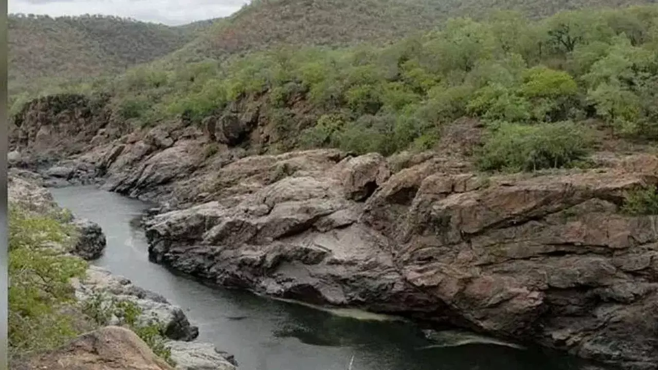 ಮೇಕೆದಾಟು ಯೋಜನೆ | ಕೇಂದ್ರ ಪರಿಸರ ಸಚಿವಾಲಯಕ್ಕೆ ಮತ್ತೆ ಅರ್ಜಿ ಸಲ್ಲಿಸಿದ ಕರ್ನಾಟಕ