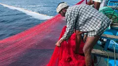 ಆಳಸಮುದ್ರದಲ್ಲಿ ಸುಳಿಗಾಳಿ, ಪ್ರಕ್ಷುಬ್ಧತೆ; ಕರಾವಳಿ ಮೀನುಗಾರಿಕೆ ಮೇಲೆ ಕರಿ ಛಾಯೆ