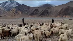 ಲಡಾಖ್‌: 5 ಹೊಸ ಜಿಲ್ಲೆಗಳ ರಚನೆ