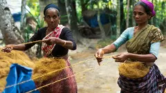 ಹೇಮಾ ಸಮಿತಿ ವರದಿ: ಚಲನಚಿತ್ರ ಮಾತ್ರವಲ್ಲ; ಕೇರಳ ಸಮಾಜ, ರಾಜಕೀಯದ ಮೇಲೆಯೂ ದೋಷಾರೋಪ