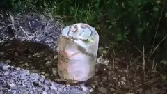 ಉತ್ತರ ಪ್ರದೇಶ|  ಕಾಳಿಂದಿ ಎಕ್ಸ್‌ಪ್ರೆಸ್‌ ಹಳಿ ತಪ್ಪಿಸಲು ವಿಫಲ ಪ್ರಯತ್ನ