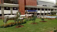 KMF |ರೈತರಿಗೆ ಹಾಲಿನ ದರ ಹೆಚ್ಚಳದ ಸಿಹಿ, ಗ್ರಾಹಕರಿಗೆ ಬೆಲೆ ಏರಿಕೆ ಕಹಿ, ಕೆಎಂಎಫ್‌ಗೆ ಮೊಸರಿನ ಲಾಭ