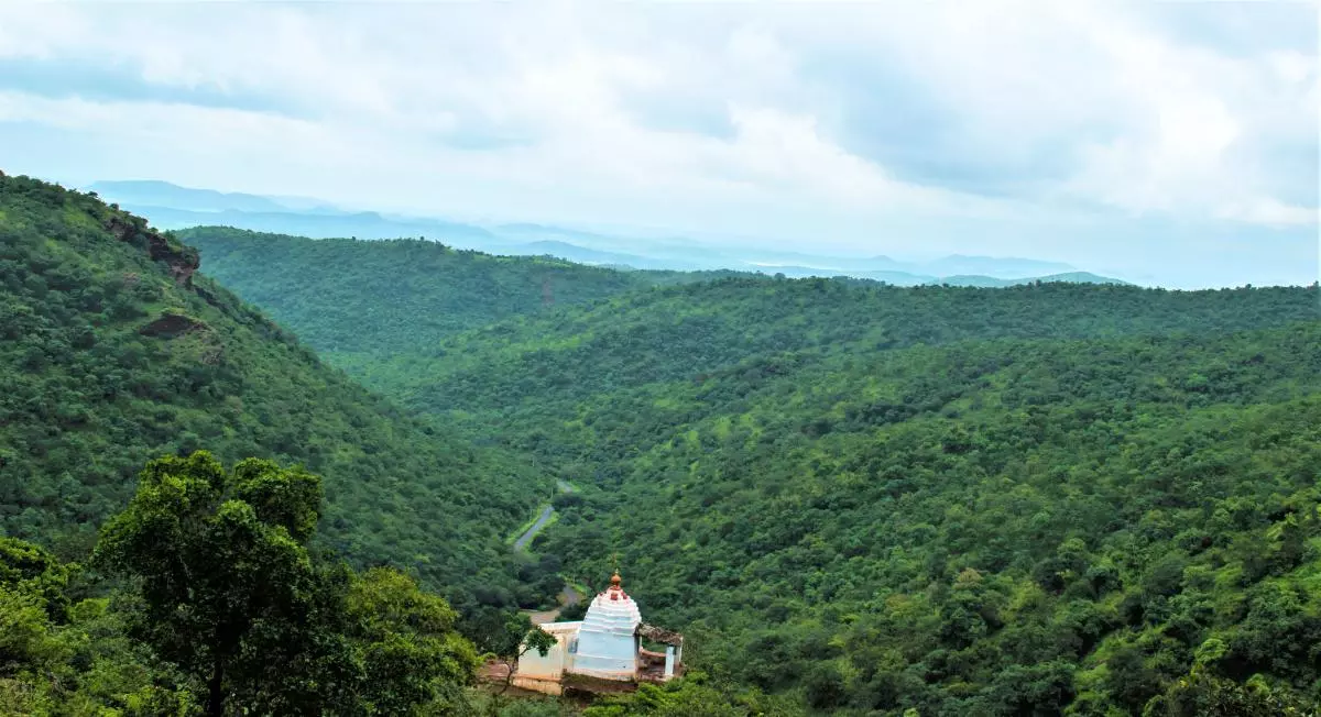 Save Kappat Gudda| ಹಚ್ಚಹಸಿರಿನ ಜೀವಜಾಲದ ತೊಟ್ಟಿಲು ಆಗುತ್ತಿದೆಯೇ ಬಳ್ಳಾರಿ-ಸಂಡೂರು?