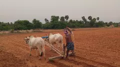 NABARD REPORT | ದೇಶದಲ್ಲಿ ಕೃಷಿ ಅವಲಂಬಿತರ ಸಂಖ್ಯೆ ಹೆಚ್ಚಳ: ಕರ್ನಾಟಕದಲ್ಲಿ ಇಳಿಕೆ