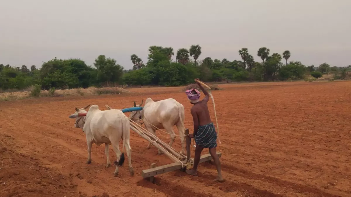 NABARD REPORT | ದೇಶದಲ್ಲಿ ಕೃಷಿ ಅವಲಂಬಿತರ ಸಂಖ್ಯೆ ಹೆಚ್ಚಳ: ಕರ್ನಾಟಕದಲ್ಲಿ ಇಳಿಕೆ