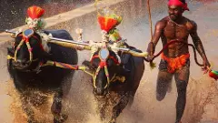 Kambala Controversy | ಬೆಂಗಳೂರು ಕಂಬಳಕ್ಕೆ ಅನುಮತಿ;  ಹೈಕೋರ್ಟ್‌ ಅಂಗಳದಲ್ಲಿ ವಿವಾದ