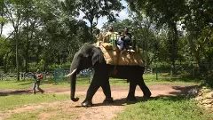 ನಿಯಮ ಗಾಳಿ ತೂರಿದ ಅರಣ್ಯ ಇಲಾಖೆ; ಸಕ್ರೆಬೈಲು ಶಿಬಿರದಲ್ಲಿ ಪ್ರವಾಸಿಗರಿಗೆ ಆನೆ ಸವಾರಿ