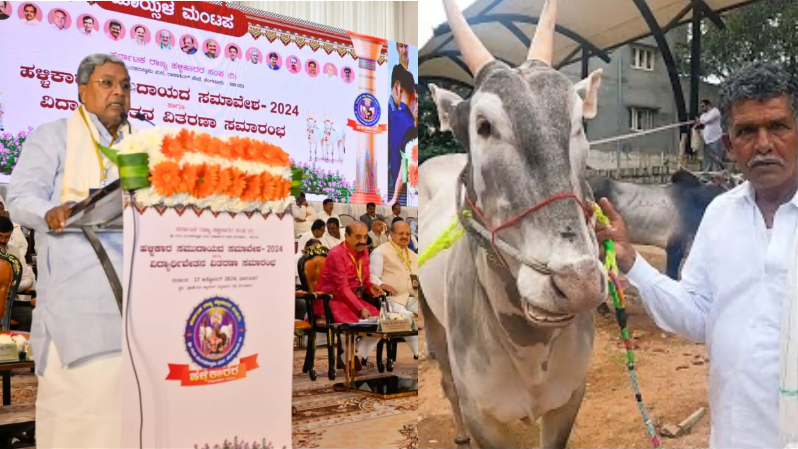 ಪ್ರವರ್ಗ-1ಕ್ಕೆ ಹಳ್ಳಿಕಾರ ಸಮುದಾಯ | ಜಾತಿ ಗಣತಿಯೇ ಆಧಾರ