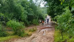 ಅರಣ್ಯ ಒತ್ತುವರಿ | ಅರಣ್ಯ ರಕ್ಷಣೆಗೆ ಕ್ರಮ ಕೈಗೊಳ್ಳಿ: ರಾಜ್ಯ ಸರ್ಕಾರಕ್ಕೆ ಕೇಂದ್ರದ ತಾಕೀತು