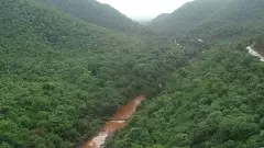 Threat to Forest | ಅರಣ್ಯದಲ್ಲಿ ಗಣಿಗಾರಿಕೆಗೆ ಅವಕಾಶ: ಸಿಎಂ ಸೂಚನೆಗೆ ವ್ಯಾಪಕ ಆಕ್ರೋಶ