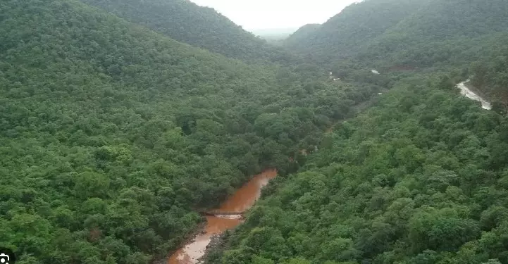 Threat to Forest | ಅರಣ್ಯದಲ್ಲಿ ಗಣಿಗಾರಿಕೆಗೆ ಅವಕಾಶ: ಸಿಎಂ ಸೂಚನೆಗೆ ವ್ಯಾಪಕ ಆಕ್ರೋಶ