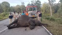 ಬಂಡೀಪುರ | ರಾತ್ರಿ ವಾಹನ ಸಂಚಾರ ನಿರ್ಬಂಧ ತೆರವು ಹೇಳಿಕೆಗೆ ವ್ಯಾಪಕ ವಿರೋಧ