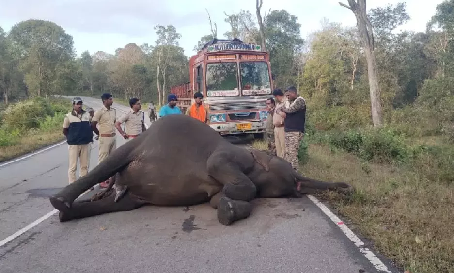 ಬಂಡೀಪುರ | ರಾತ್ರಿ ವಾಹನ ಸಂಚಾರ ನಿರ್ಬಂಧ ತೆರವು ಹೇಳಿಕೆಗೆ ವ್ಯಾಪಕ ವಿರೋಧ