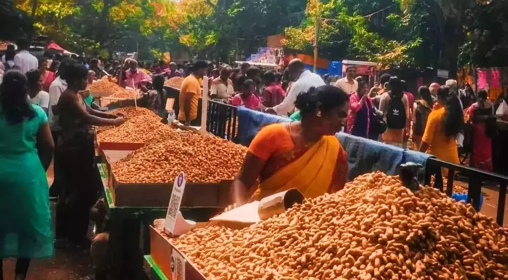 ಮತ್ತೆ ಬಂದಿದೆ ಸುಂಕೇನಹಳ್ಳಿ ಕಡಲೆಕಾಯಿ ಪರಿಷೆ; ಬಸವನಗುಡಿ ಪರಿಷೆ ಎಂದೇ ಹೆಸರು!