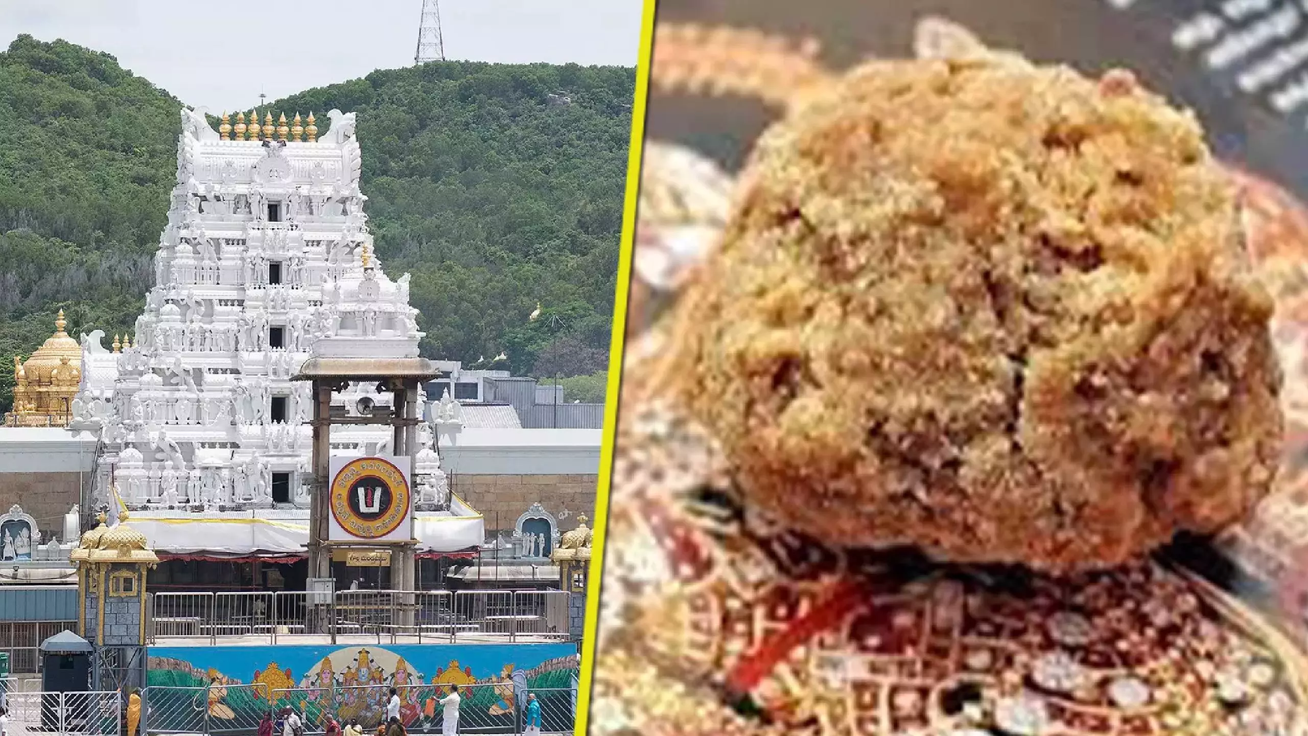 Tirupati Laddu : ವಿವಾದದ ನಡುವೆಯೂ ತಿರುಪತಿ ಲಡ್ಡು ಪ್ರಸಾದಕ್ಕೆ ಮಿತಿಮೀರಿದ ಬೇಡಿಕೆ, ಉತ್ಪಾದನೆ ಹೆಚ್ಚಳ