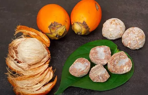 Cancer & Areca | ಅಡಿಕೆಯಿಂದ ಕ್ಯಾನ್ಸರ್‌: ಏನು ಹೇಳುತ್ತವೆ ಐಐಎಸ್‌ಸಿ, ಕಿದ್ವಾಯಿ, ಸಿಪಿಸಿಆರ್‌ಐ ಸಂಶೋಧನೆ?